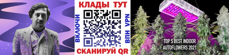 Где купить наркоту Знаменск Бошки Шишки  Меф мяу мяу  АМФЕТАМИН  Гашиш  Codein  СК  COCAIN 