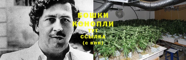 альфа пвп Нязепетровск