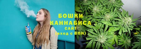 стафф Новокубанск