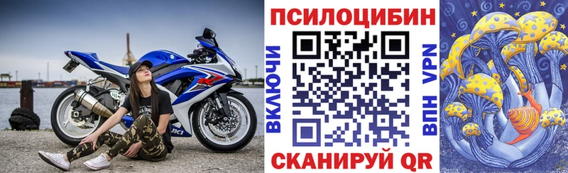Галлюциногенные грибы Psilocybine cubensis  где продают наркотики  Знаменск 